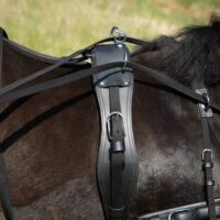 Globus Sport Rocky shetland/pony sorirakmed