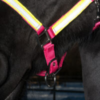 Globus Sport Rex  helkurpäitsed hobusele - Image 4