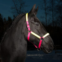 Globus Sport Rex  helkurpäitsed hobusele - Image 2