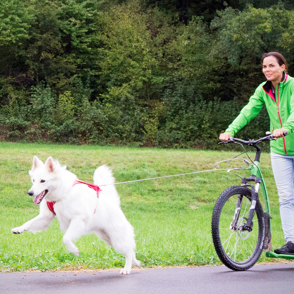 Curli  Ultra Strong taskurihm