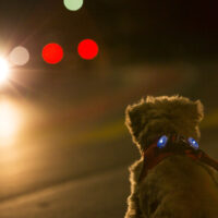 Curli LED tuluke, 2 tk