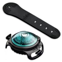 Orbiloc Dog Dual LED tuluke