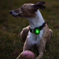 Orbiloc Dog Dual LED tuluke