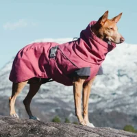Hurtta Expedition Parka talvejope koertele - Image 11