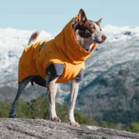 Hurtta Expedition Parka talvejope koertele - Image 9
