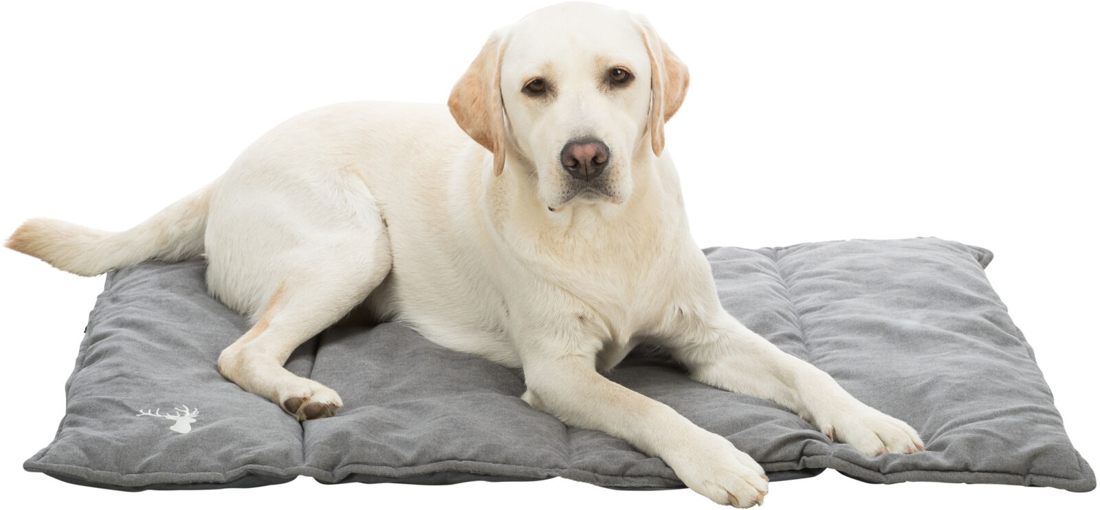 Leni reisimatt lemmikule - Image 6