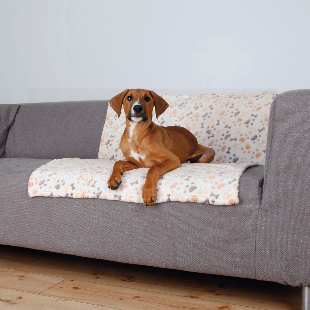 Lingo tekk lemmikule - Image 3