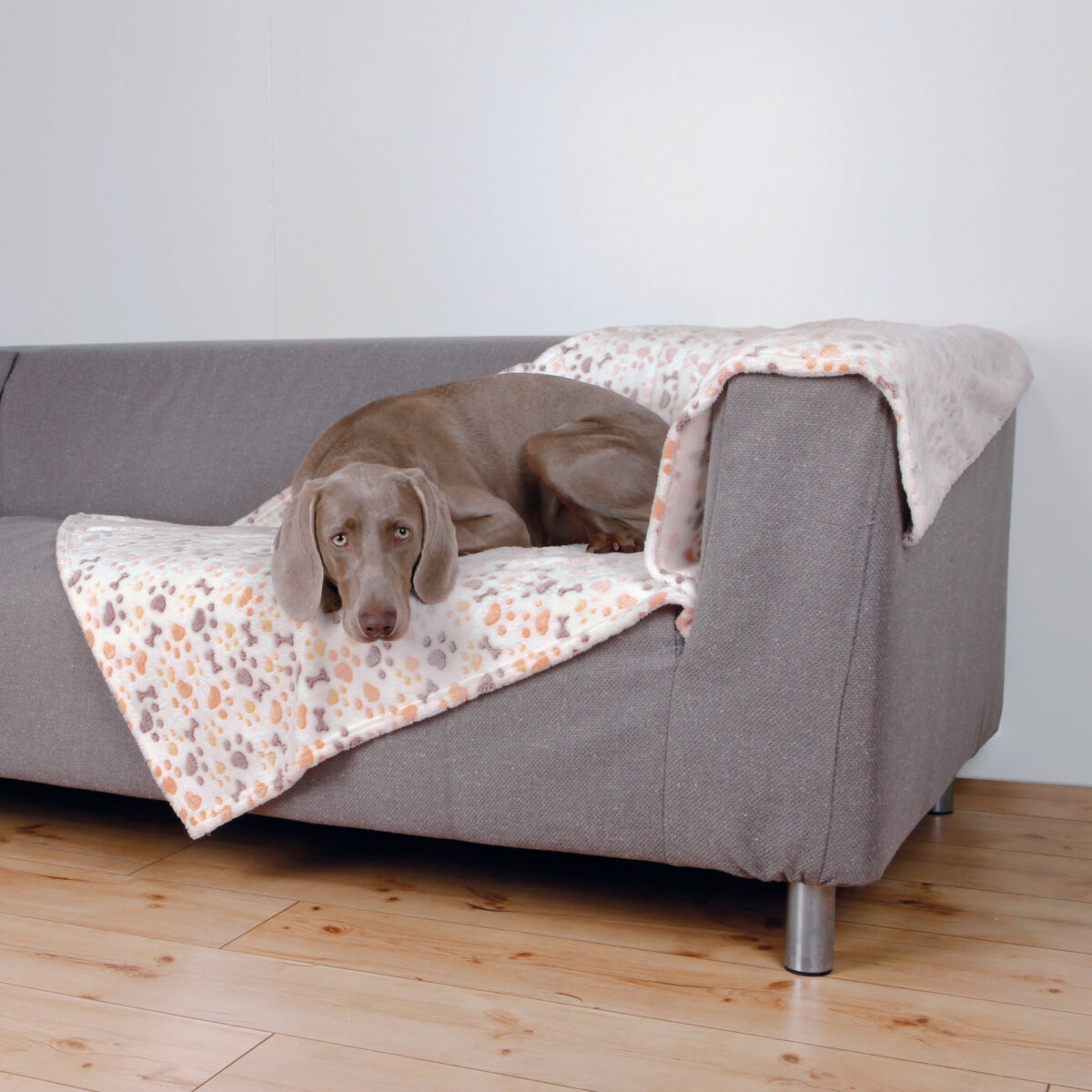 Lingo tekk lemmikule - Image 4