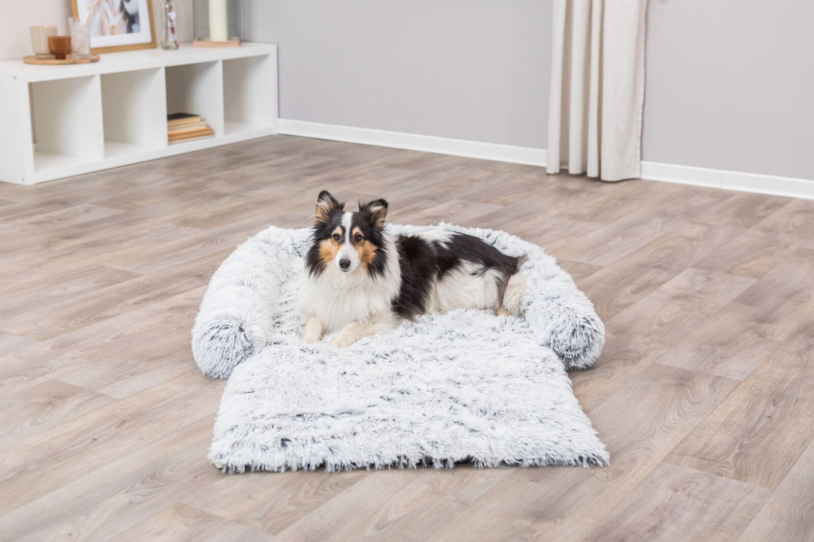 Harvey pesamatt lemmikule - Image 3