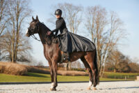 EQ Laurie talve ratsaseelik - Image 7