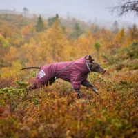 Hurtta Extreme Overall talvekombinesoon koertele - Image 12