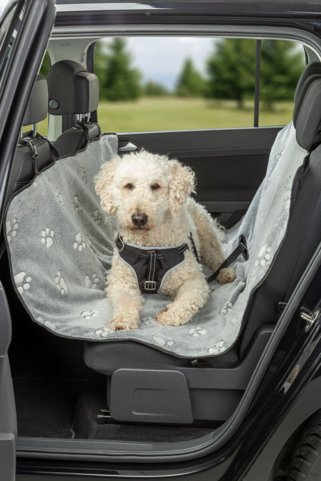 TX fliisiga tagaistme kaitse autosse - Pilt 5