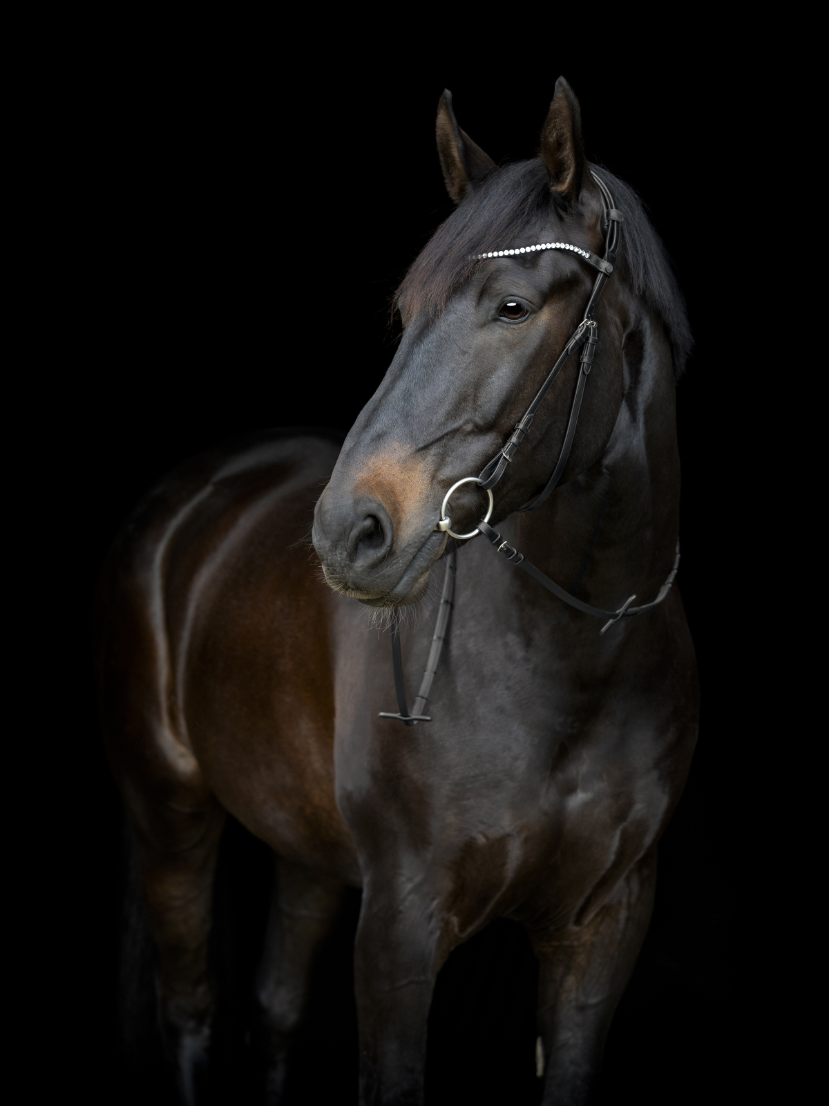 Catago Gentle valjaste põserihm - Image 3