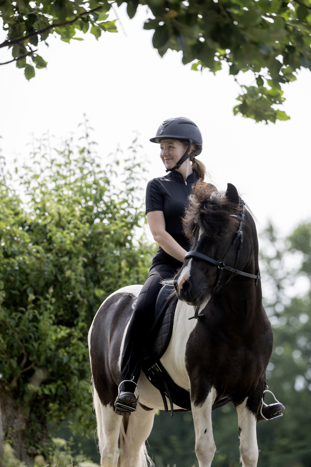 Catago Gentle valjaste põserihm - Image 4