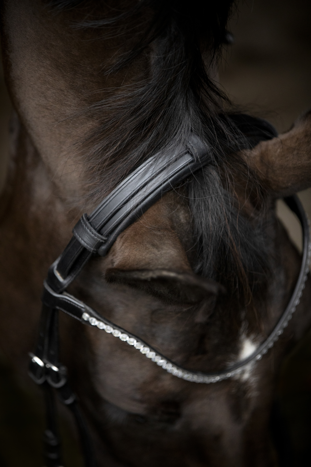 Catago Gentle valjaste kuklarihm - Image 5