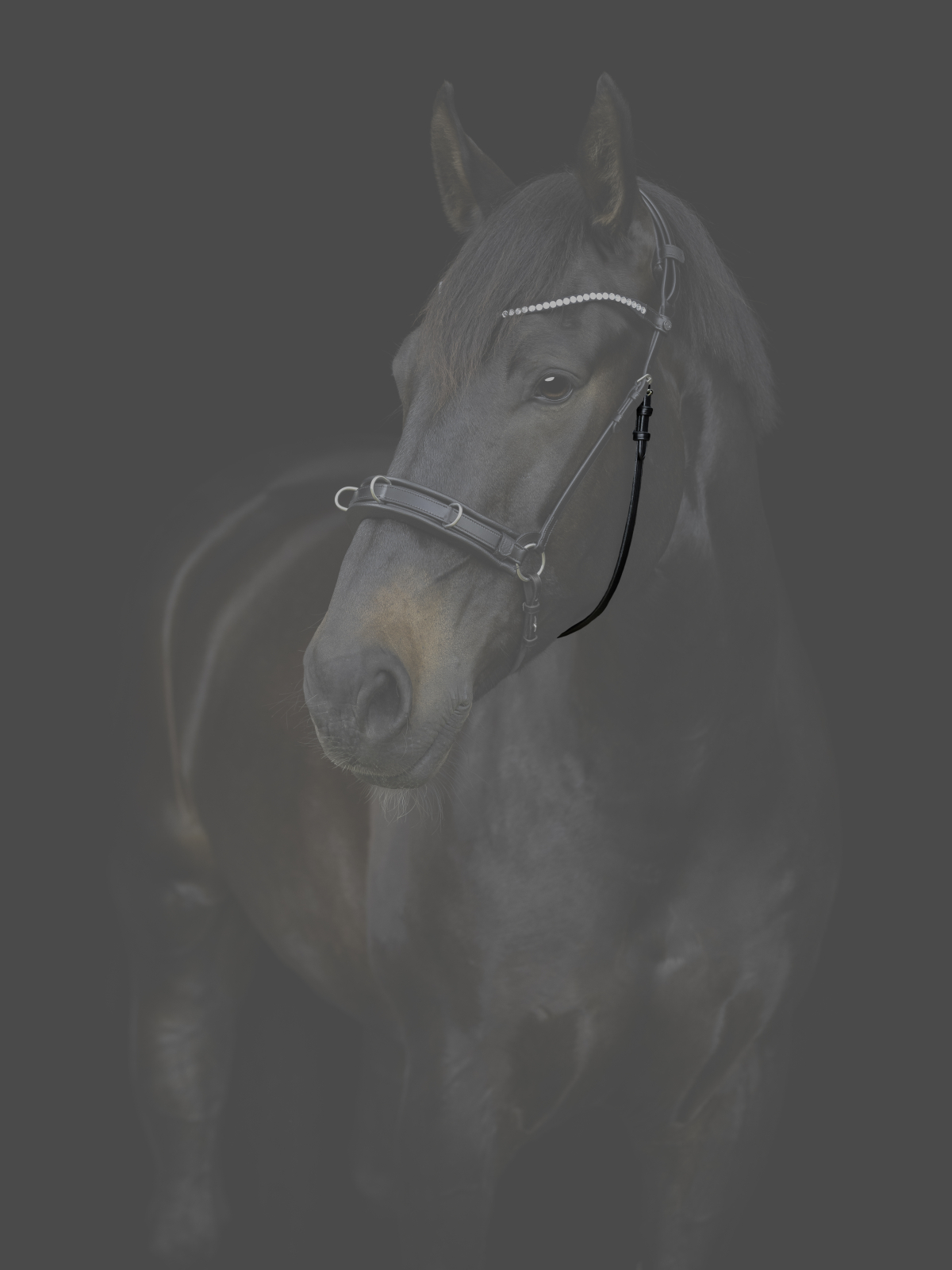 Catago Gentle valjaste põserihm - Image 2