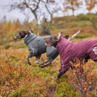 Hurtta Extreme Overall talvekombinesoon koertele - Image 14