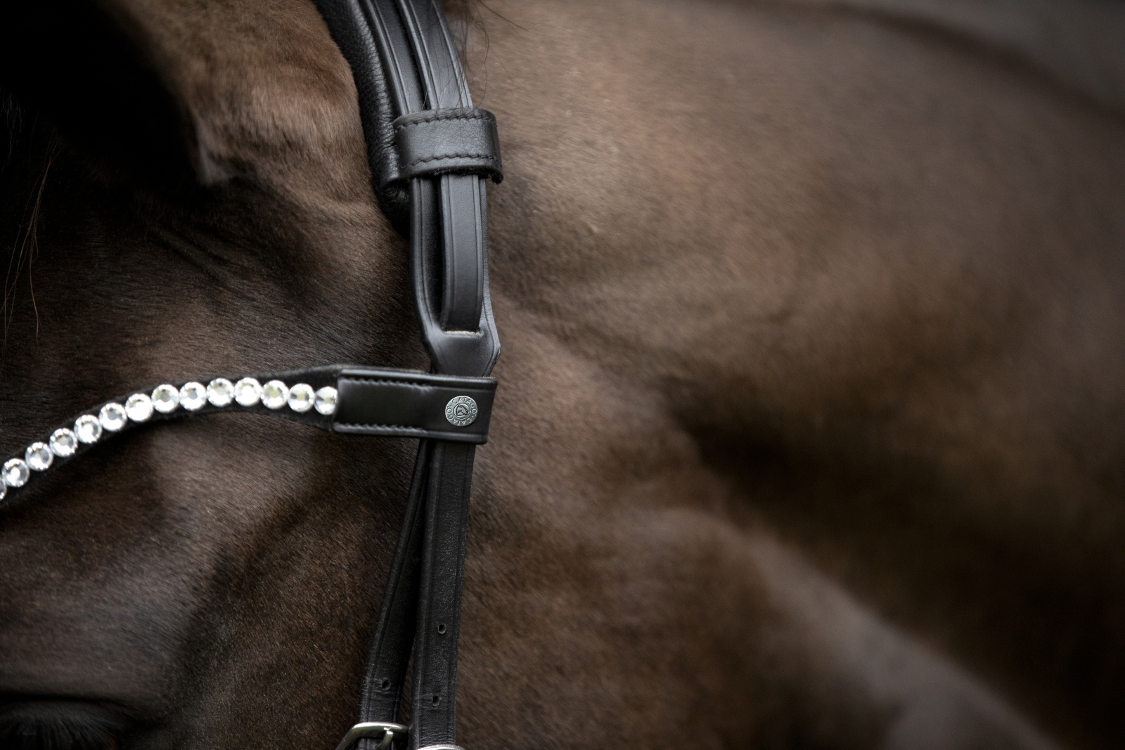 Catago Gentle valjaste kuklarihm - Image 6