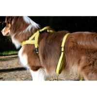 Hurtta pehmendustega traksid koertele, 45 cm  - kollane - Image 2