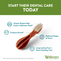 Whimzees Toothbrush närimismaius koerale - Image 4