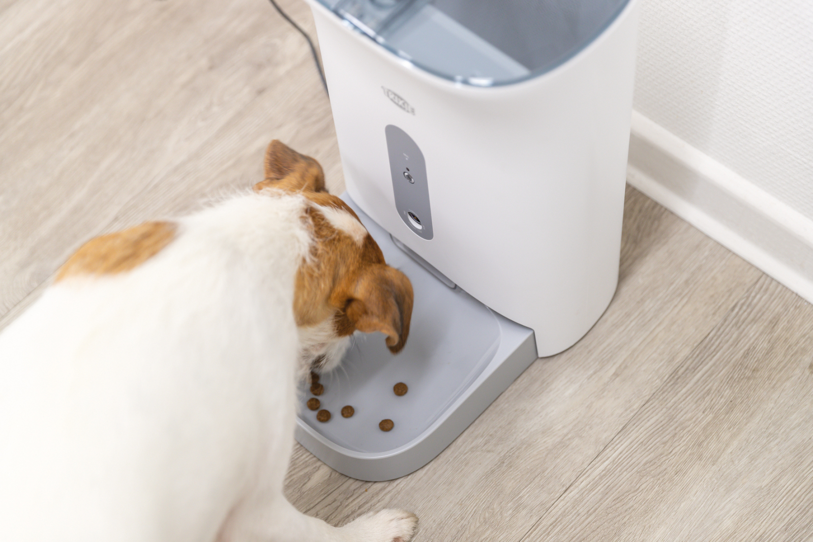 TX-C Smart 4,5 L automaatsöötja lemmikule - Image 8