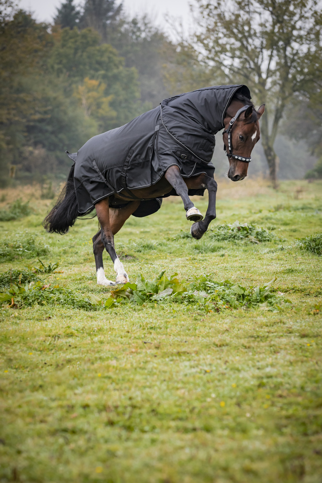 Catago Endurance 2.0 õuetekk hobusele 1680D-300 g - Image 5