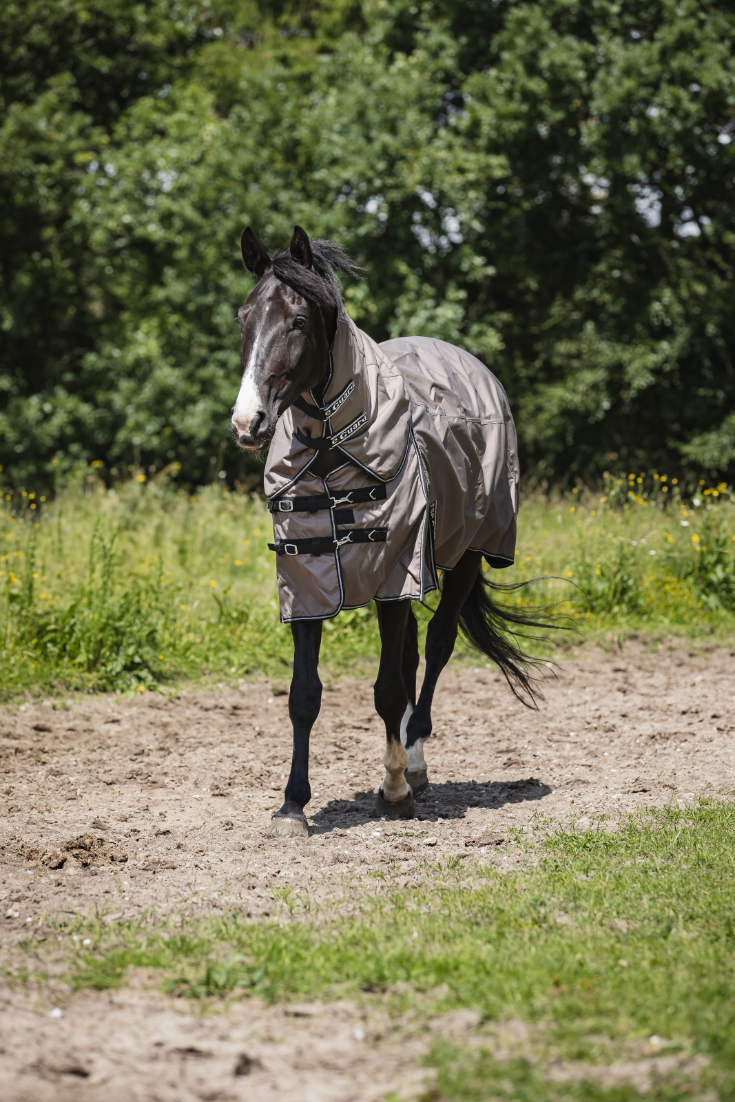 HG Adapting 2.0 õueteki kaelaosa - Image 2