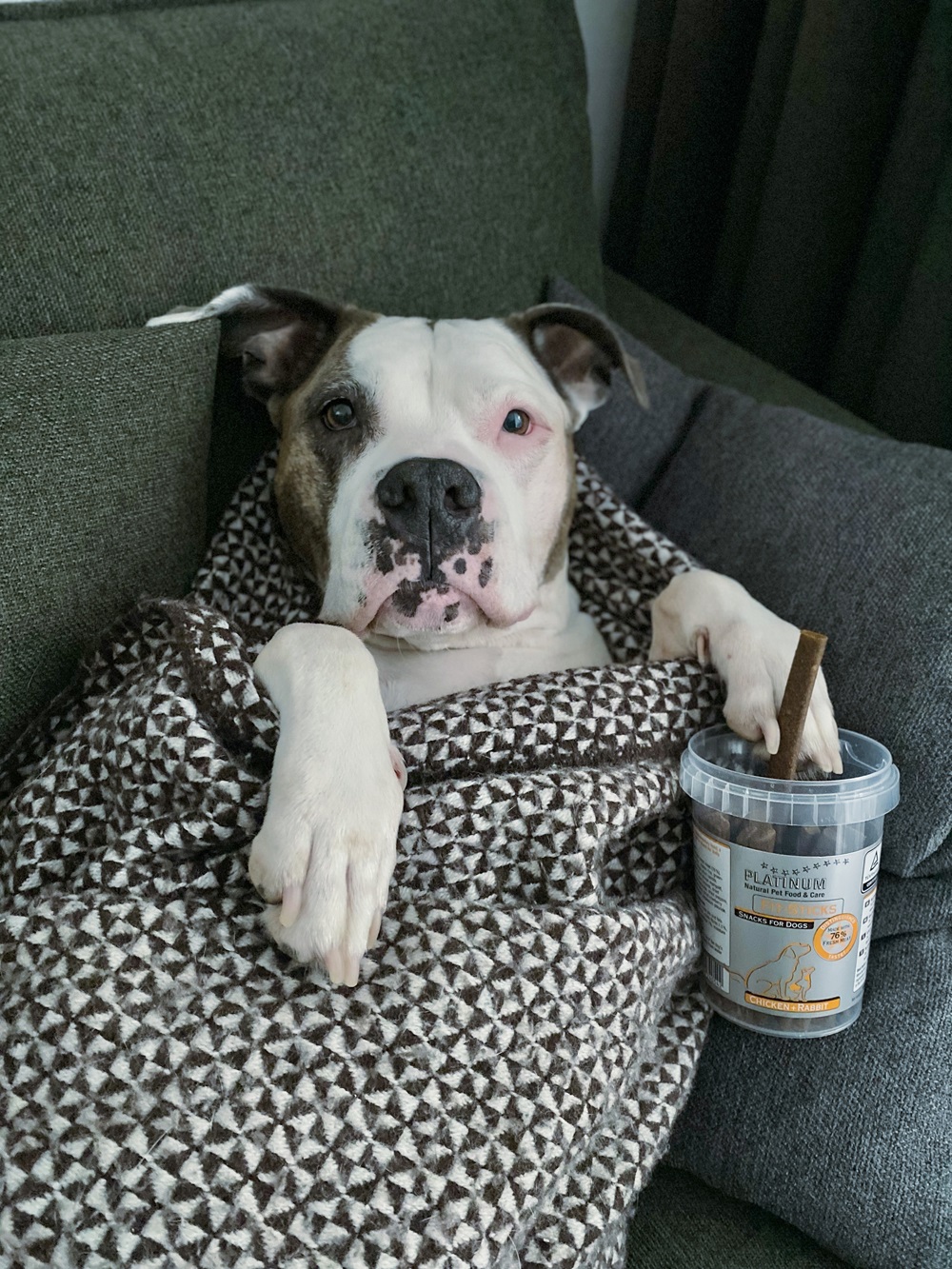 Platinum Fit-Sticks Chicken+Lamb maiused, 300 g - Image 3