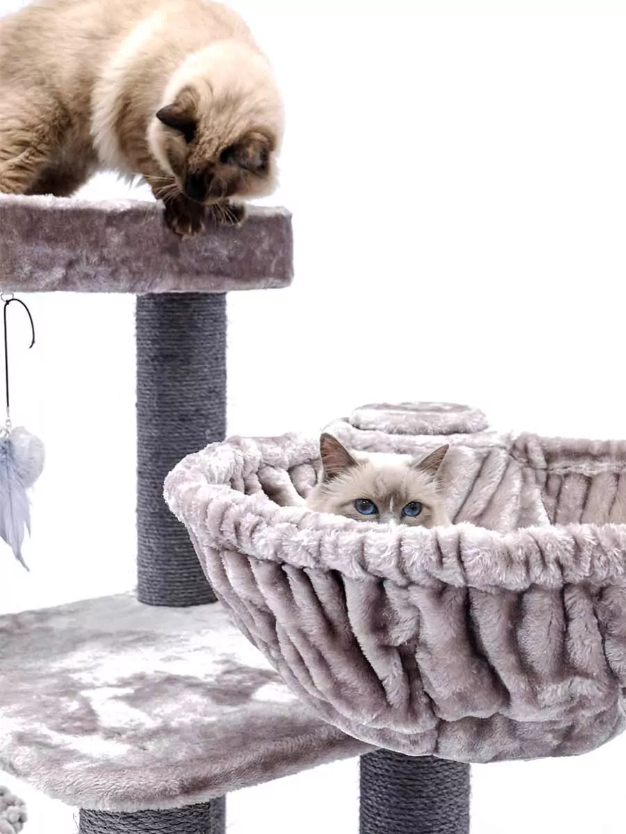 Petrebels Vista 170 kraapimispuu kassidele - Image 5