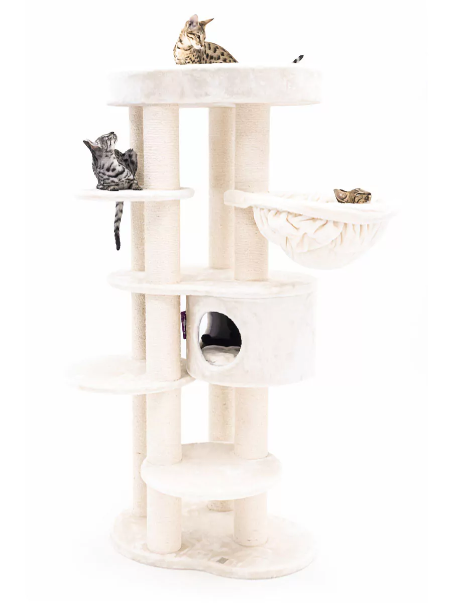 Petrebels Isabella 170 kraapimispuu kassidele - Image 2