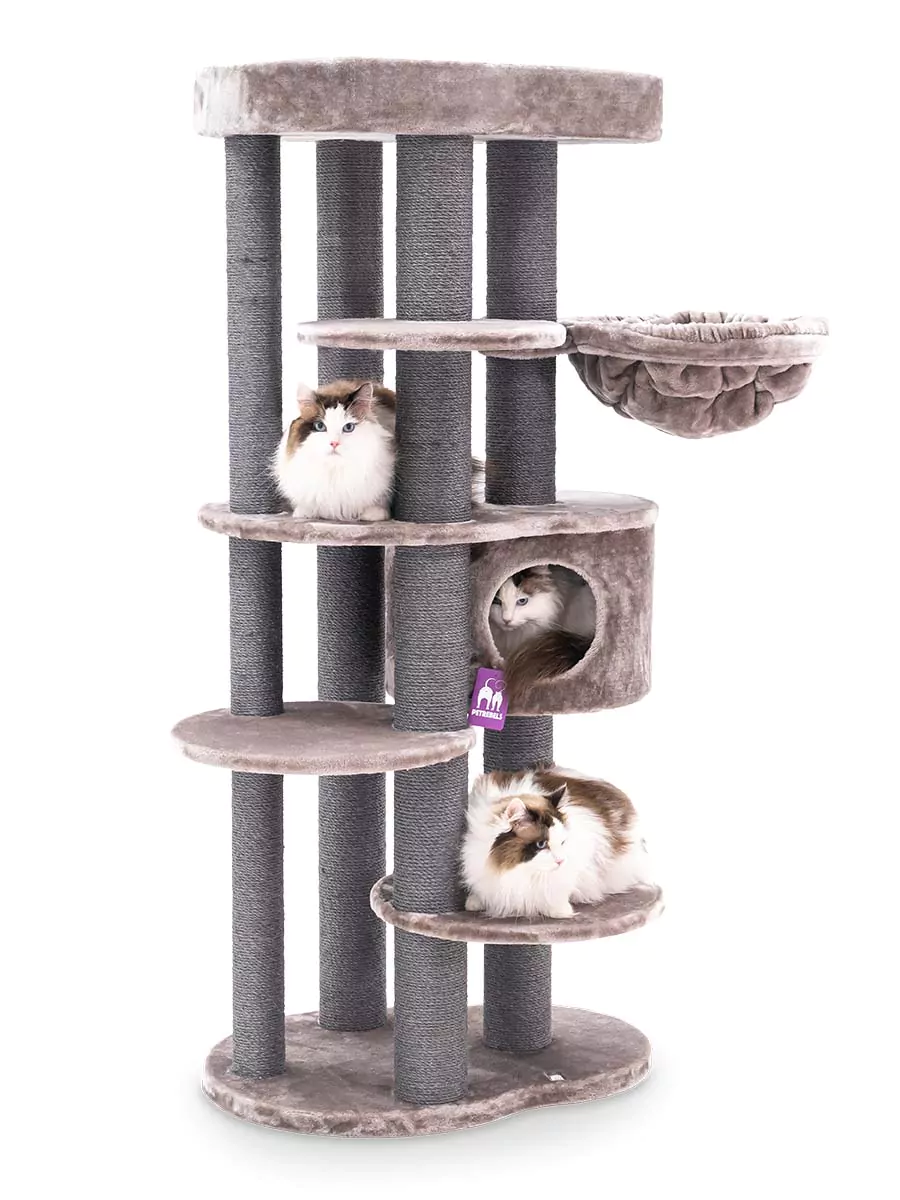 Petrebels Isabella 170 kraapimispuu kassidele - Image 6