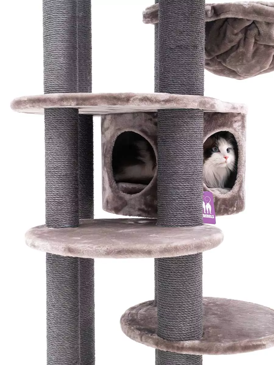 Petrebels Isabella 170 kraapimispuu kassidele - Image 7