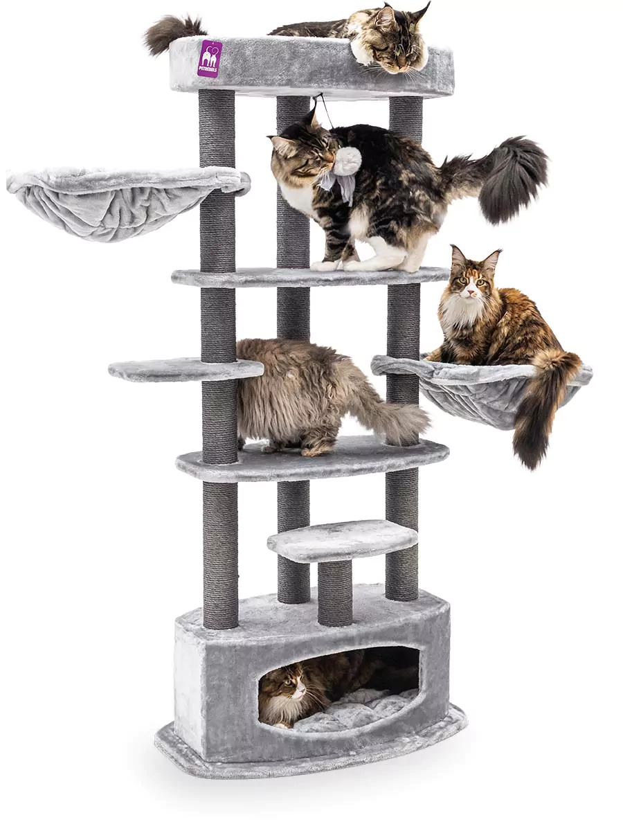 Petrebels Alexandra 177 kraapimispuu kassidele - Image 3