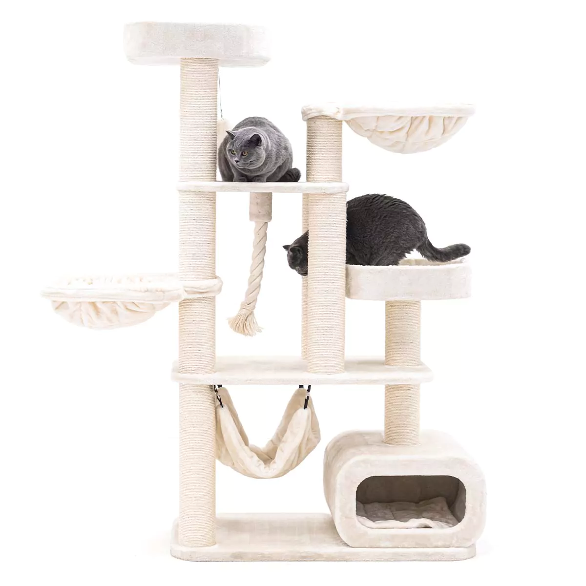 Petrebels Interstate 173 kraapimispuu kassidele - Image 4