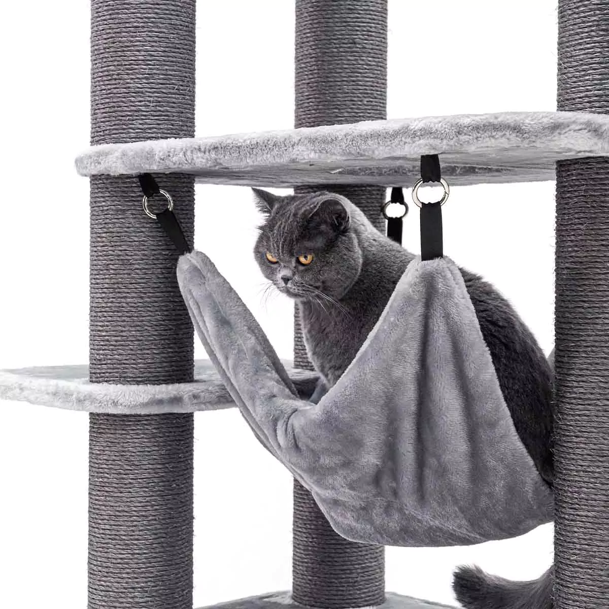 Petrebels Interstate 178 kraapimispuu kassidele - Image 4