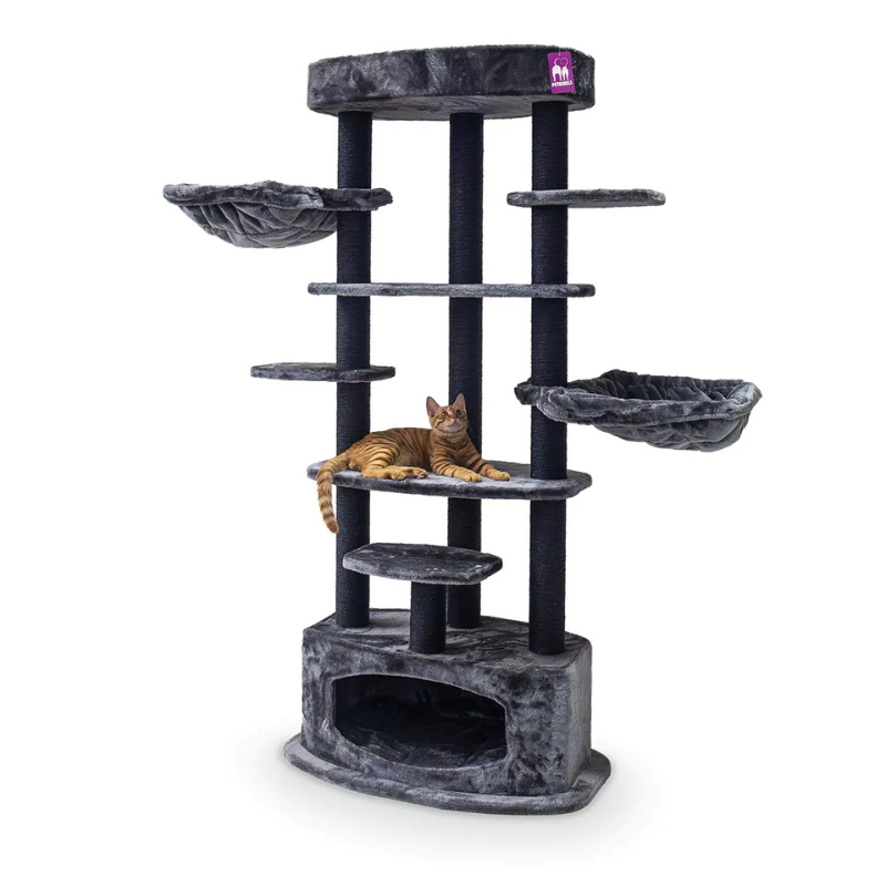 Petrebels Alexandra 177 kraapimispuu kassidele