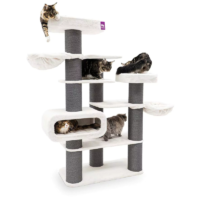 Petrebels Bengal 199 kraapimispuu kassidele