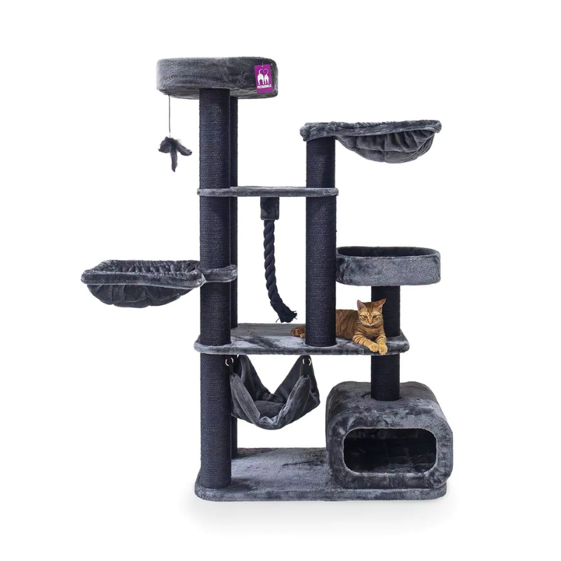 Petrebels Interstate 173 kraapimispuu kassidele