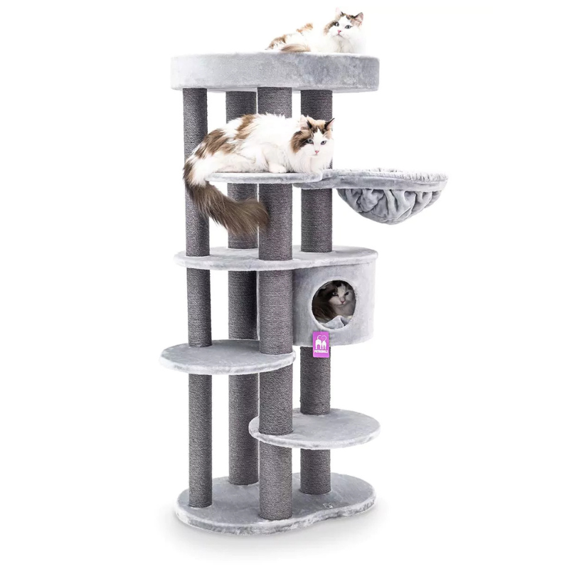 Petrebels Isabella 170 kraapimispuu kassidele