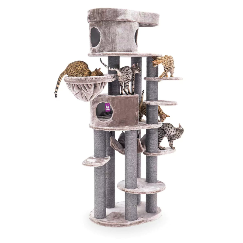 Petrebels Isabella 210 kraapimispuu kassidele