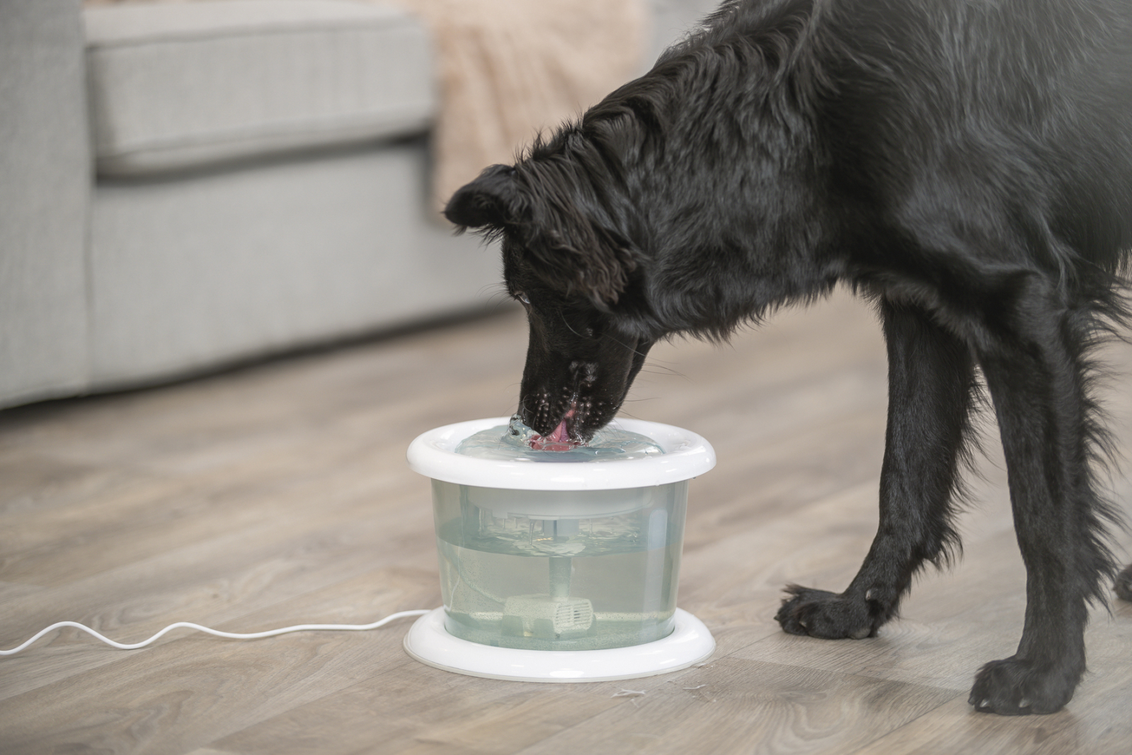 TX Bubble automaatjootja - Image 3