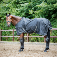 HG Aron 2.0 õuetekk hobusele, 600D-0 g