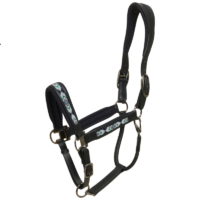 Catago Anamo nahast päitsed hobusele