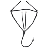 Catago nahast martingal hobusele