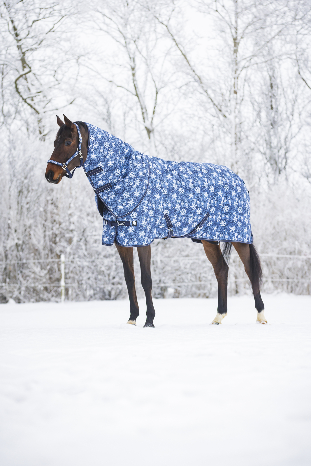 HG Snowflake õuetekk kaelaosaga, 1200D - 200 g - Pilt 3