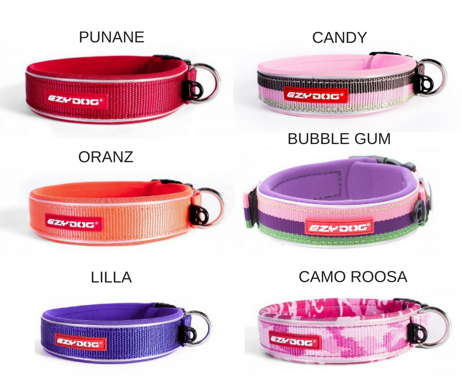 Ezydog neopreenist kaelarihm